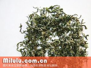 海马宫茶的自然地理