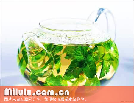 玉兰花茶有什么功效？