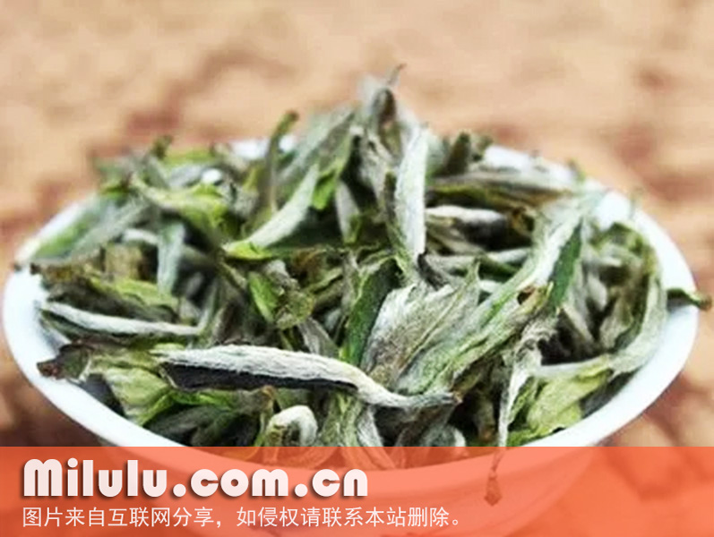 什么是福鼎大毫茶？