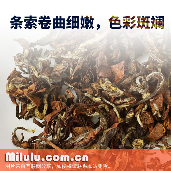 东方美人茶的生产制作