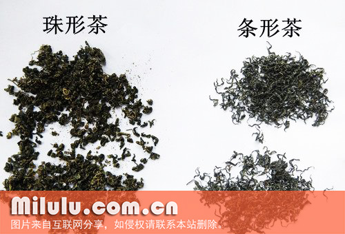 绞股蓝茶的形态特征