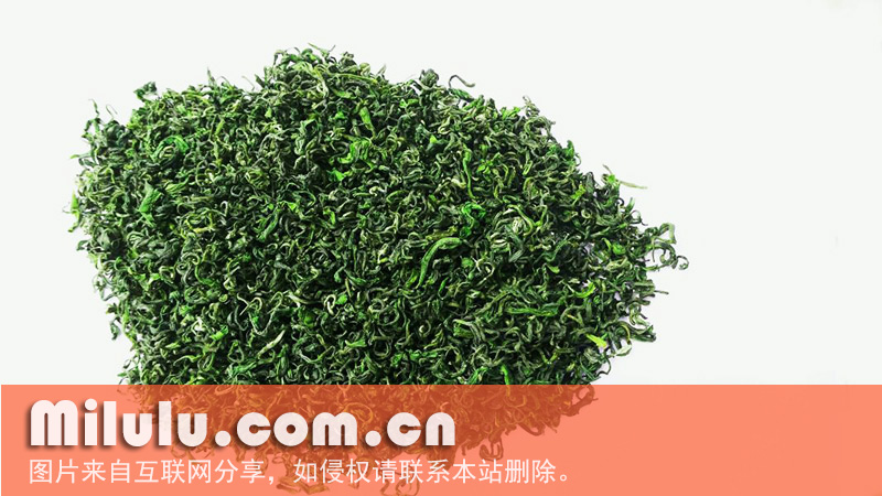 日照绿茶图片