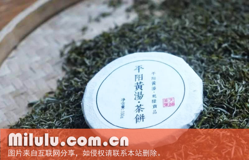 平阳黄汤茶的产品特点