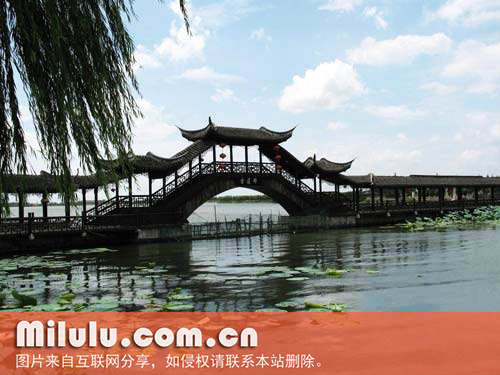 七子饼茶的制作方法