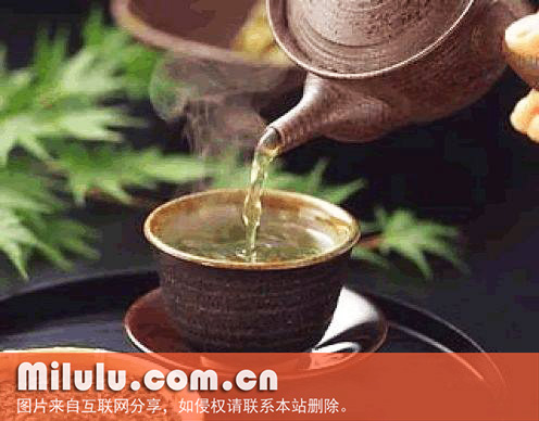 白豪银针茶