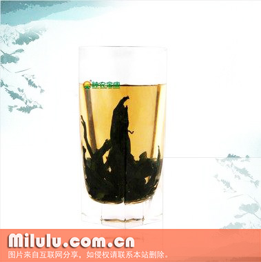 杜仲茶的原料