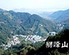 狮峰龙井传说