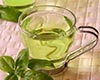 湄江茶