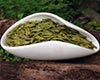 平阳特早茶