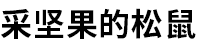 采坚果的松鼠品牌LOGO