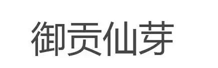 御贡仙芽品牌LOGO