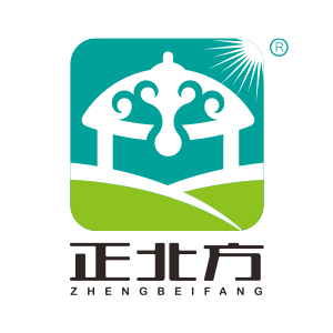 正北方品牌LOGO