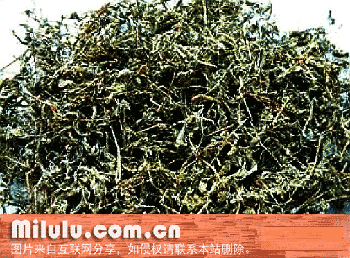 溪洲莓茶特产图片