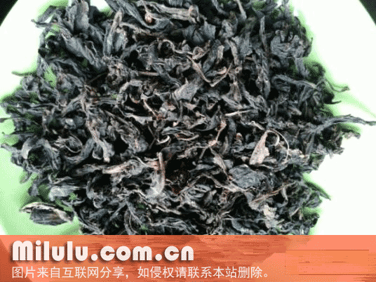 绥宁青钱柳茶特产图片