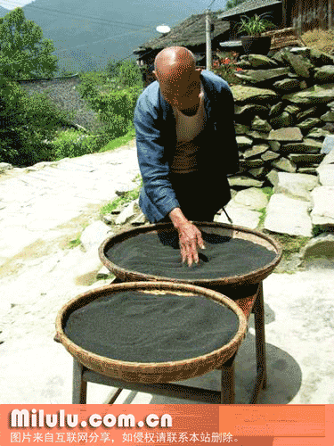 龙珠茶特产图片