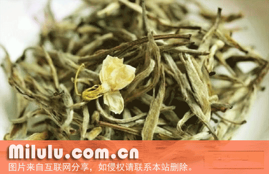 金华茉莉花茶特产图片