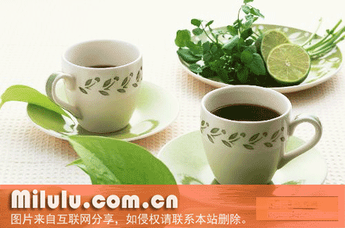 乐昌白毛茶特产图片