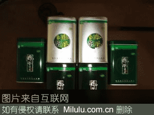 凤凰山茶特产图片