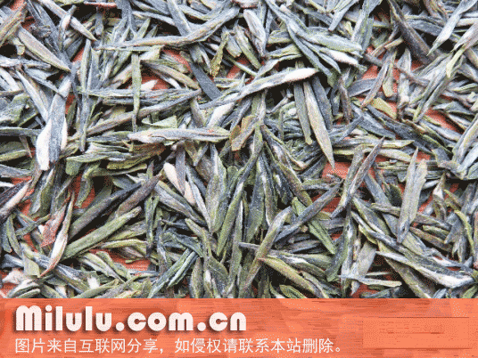 玉泉仙人掌茶特产图片