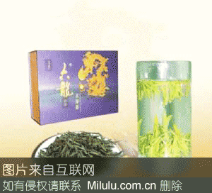 玉苍绿早牌苍南翠龙茶特产图片