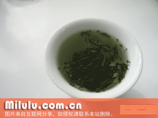 枸杞叶茶特产图片