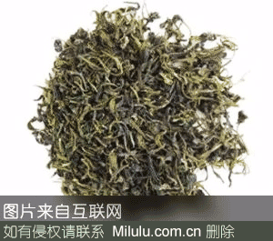 野生苦丁茶特产图片