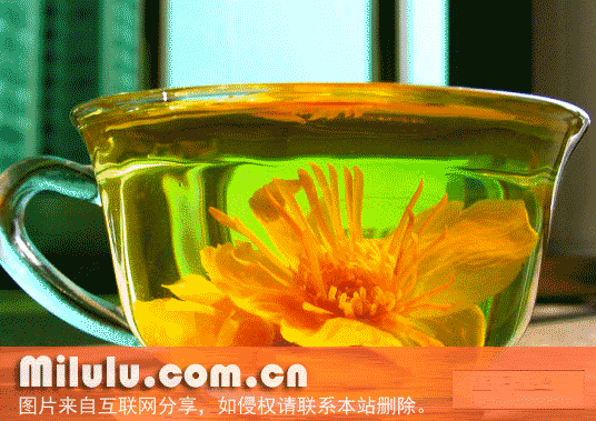 金莲花茶特产图片